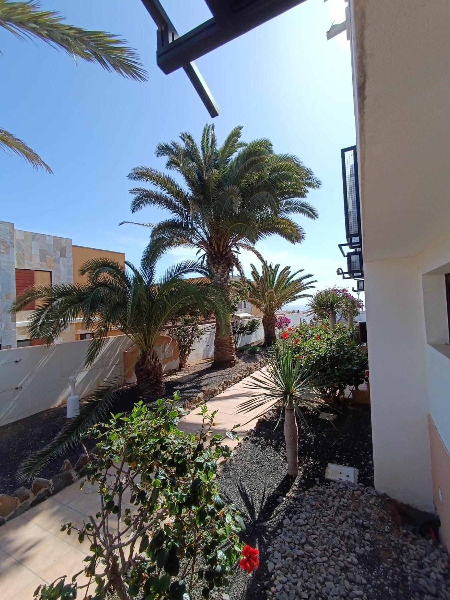 Apartamento Reload Complex Amaya Fuerteventura Costa De Antigua Exteriér fotografie