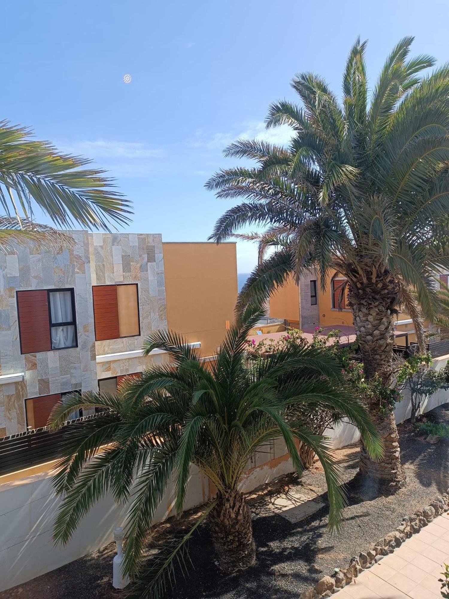 Apartamento Reload Complex Amaya Fuerteventura Costa De Antigua Exteriér fotografie